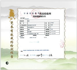 张掖民乐县 守正创新筑基石，严把质量两道关
